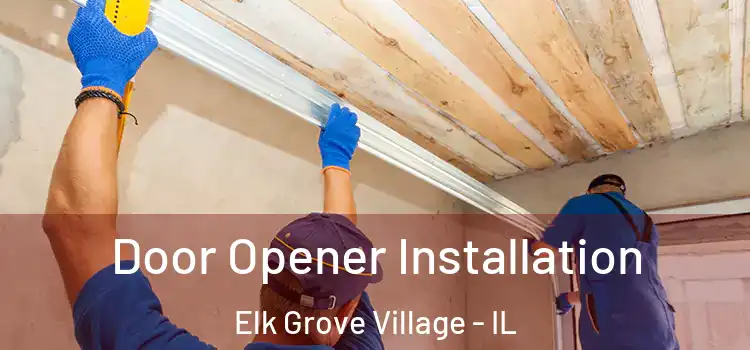 Door Opener Installation Elk Grove Village - IL