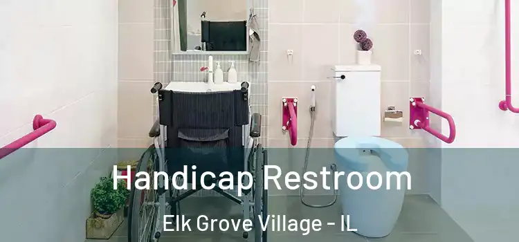 Handicap Restroom Elk Grove Village - IL