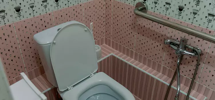 Meeting Diverse Needs With Accessible Restroom Solutions in Elk Grove Village, IL