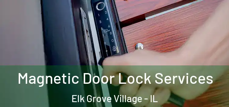 Magnetic Door Lock Services Elk Grove Village - IL