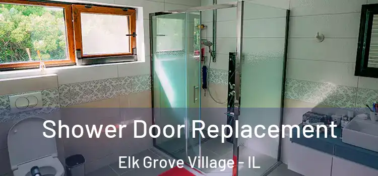 Shower Door Replacement Elk Grove Village - IL